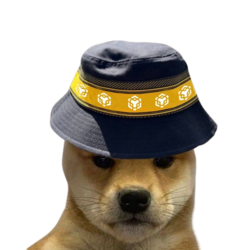 BNB DOGE logo BNB DOGE crypto logo