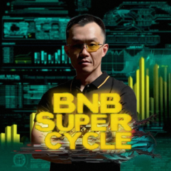 BNB SUPER CYCLE logo BNB SUPER CYCLE crypto logo