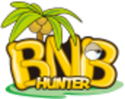 BNBHunter crypto logo