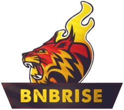 BNBRise crypto logo