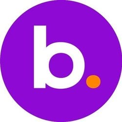 BNS Token [OLD] coin logo
