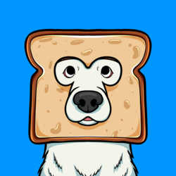 Boggy Coin coin logo