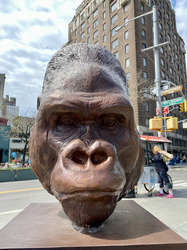 BOOJI logo BOOJI crypto logo