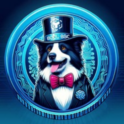 BorderCollieBSC logo BorderCollieBSC crypto logo