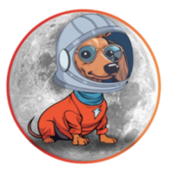 Bowie logo Bowie crypto logo