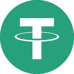 Bridged Tether (Linea) crypto logo