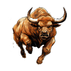 Bull Run Solana logo Bull Run Solana crypto logo
