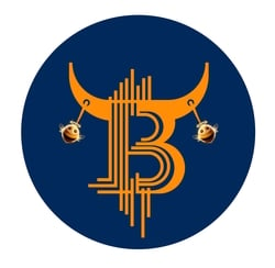 BullcoinBSC crypto logo