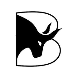 Bulleon crypto logo