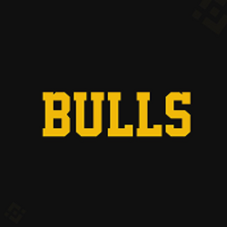 Bulls logo Bulls crypto logo