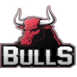 Bulls crypto logo