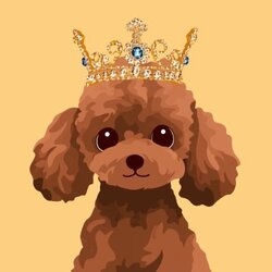 BunPoodle logo BunPoodle crypto logo