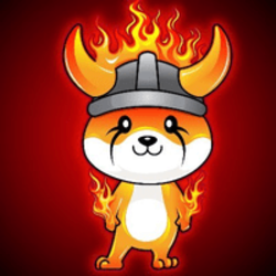 BurnFloki crypto logo