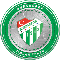 Bursaspor Fan Token crypto logo