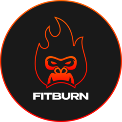 FitBurn crypto logo