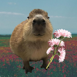 Capybara logo Capybara crypto logo