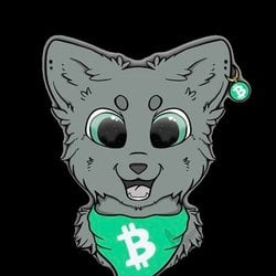 CashCats crypto logo