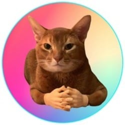 Cat Wif Hands crypto logo