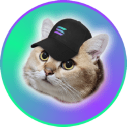 CatSolHat crypto logo
