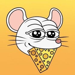 Chedda logo Chedda crypto logo