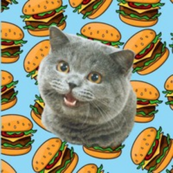 Cheezburger Cat crypto logo