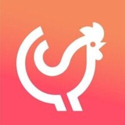 Chickencoin crypto logo