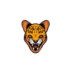 BabyChita crypto logo