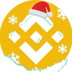 Christmas BNB crypto logo