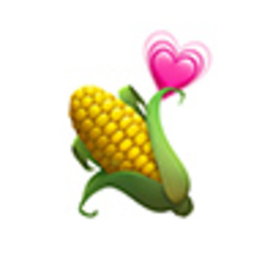CORN logo CORN crypto logo