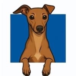Cosmo crypto logo