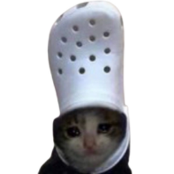 croc cat logo croc cat crypto logo