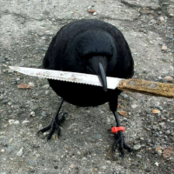 crow with knife coin logo