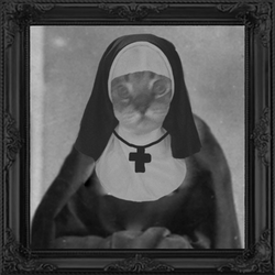 CULT CAT crypto logo