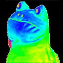 Dank Frog logo Dank Frog crypto logo