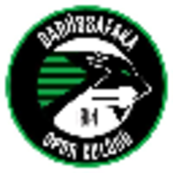 Darüşşafaka Sports Club crypto logo