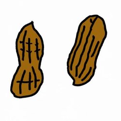 Deez Nuts logo Deez Nuts crypto logo