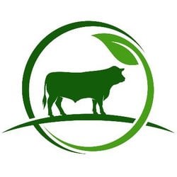 Dimitra logo Dimitra crypto logo