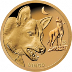 Dingocoin coin logo