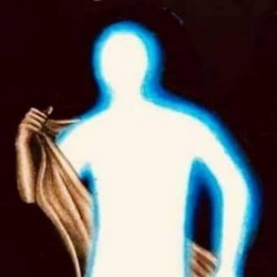 Divinely Protected logo Divinely Protected crypto logo