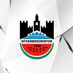 Diyarbekirspor crypto logo