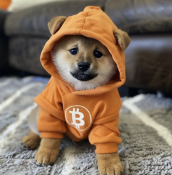 DOG•GO•TO•THE•MOON crypto logo