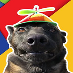 dog wif spinning hat crypto logo