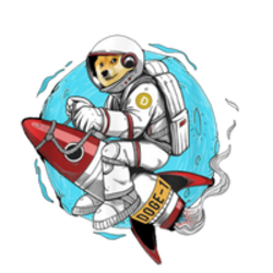 Doge-1 Mission to the moon logo Doge-1 Mission to the moon crypto logo