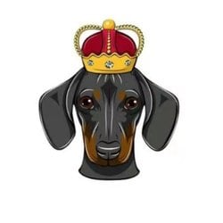 DogeKing crypto logo