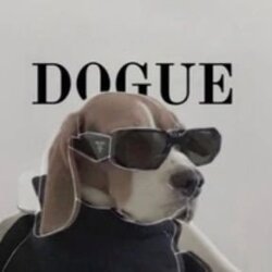 DOGUE logo DOGUE crypto logo