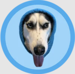 DOGWIFHOOD crypto logo