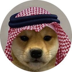 dogwifsaudihat logo dogwifsaudihat crypto logo