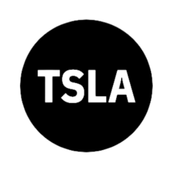 Tesla Tokenized Stock Defichain crypto logo
