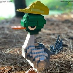 DuckDuck logo DuckDuck crypto logo