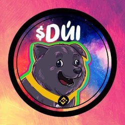 Dui Token crypto logo